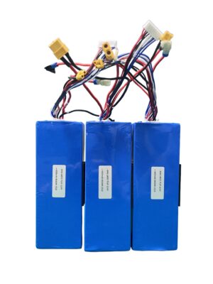 HNF Battery 22.4V 4000mAh 7S1P 18650 li-ion battery pack with XT60 connector and multi-wire harness three units